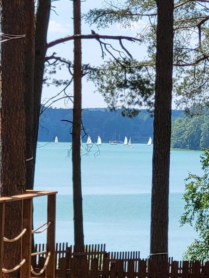 Dzik W Zagrodzie Hotel Borsk Buitenkant foto