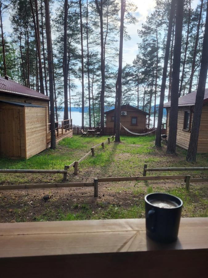 Dzik W Zagrodzie Hotel Borsk Buitenkant foto