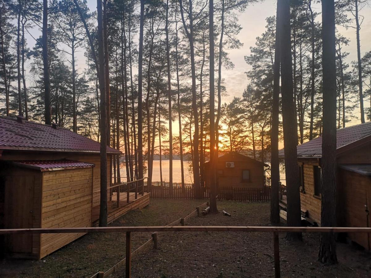 Dzik W Zagrodzie Hotel Borsk Buitenkant foto