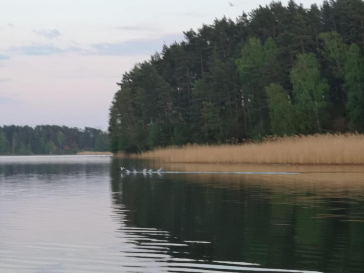Dzik W Zagrodzie Hotel Borsk Buitenkant foto