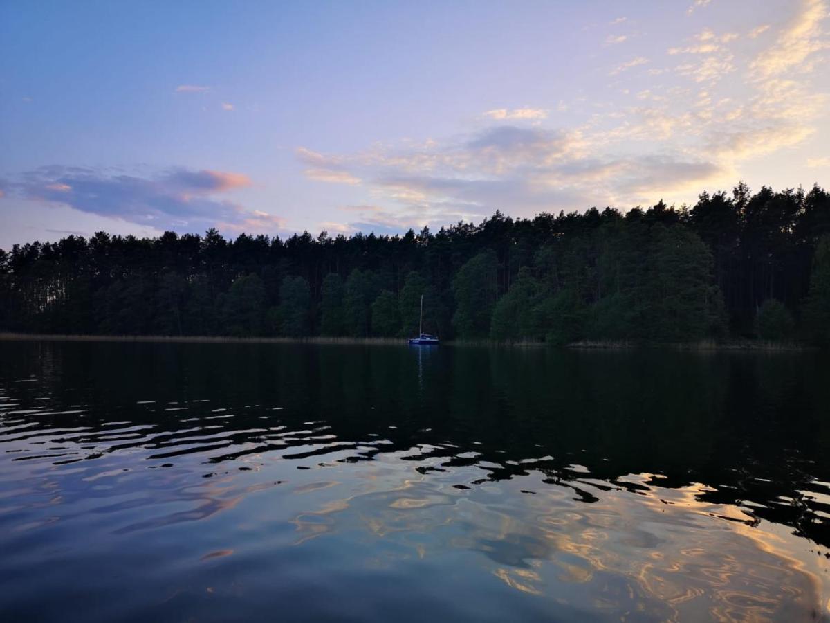 Dzik W Zagrodzie Hotel Borsk Buitenkant foto
