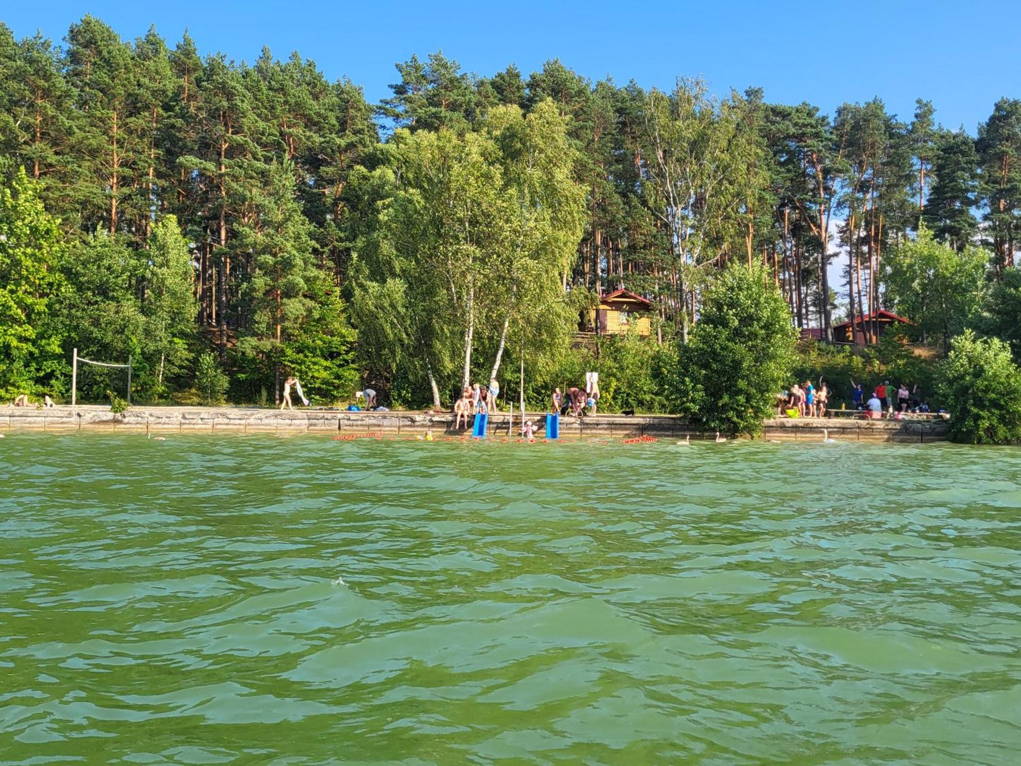 Dzik W Zagrodzie Hotel Borsk Buitenkant foto