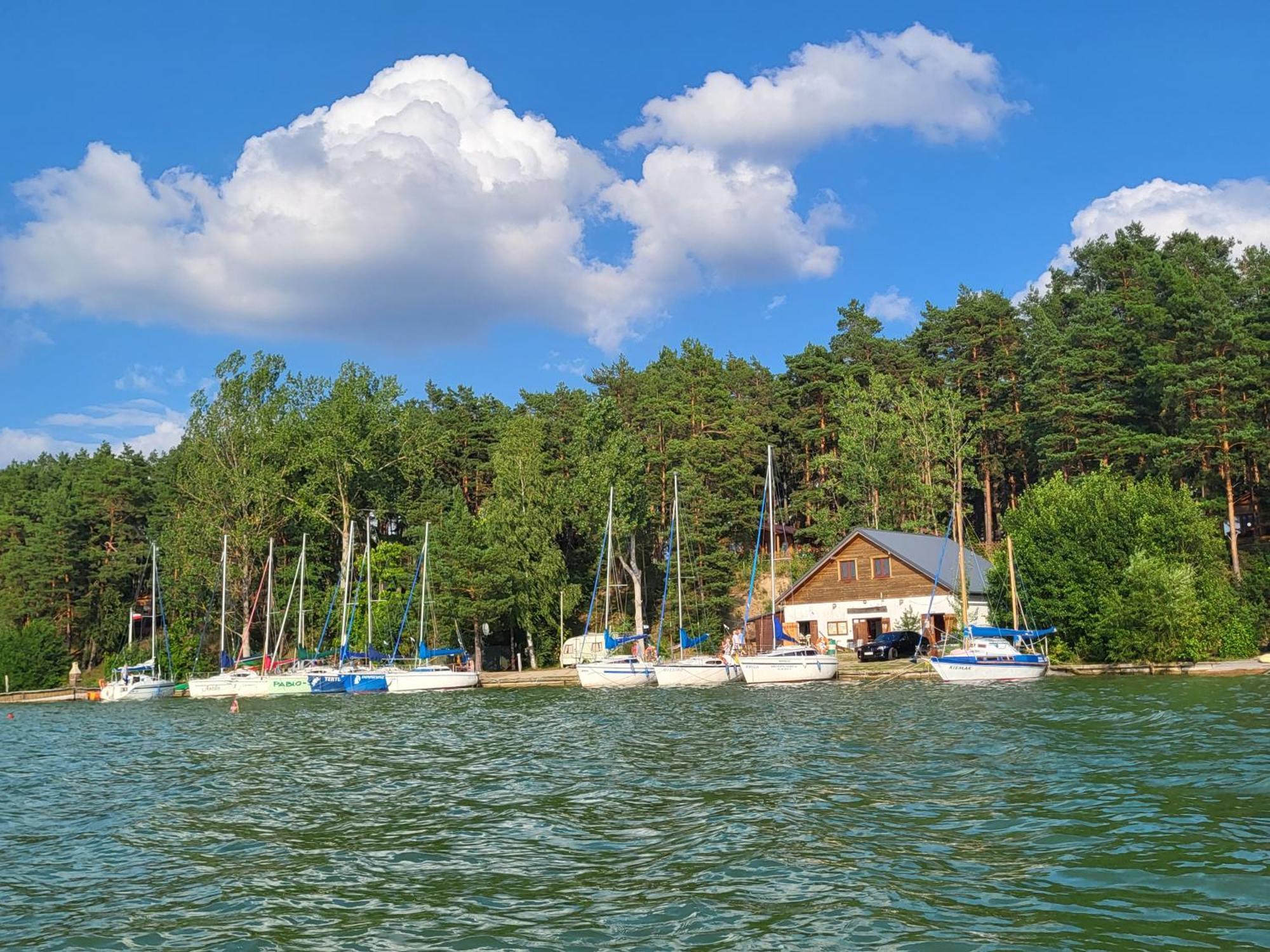 Dzik W Zagrodzie Hotel Borsk Buitenkant foto