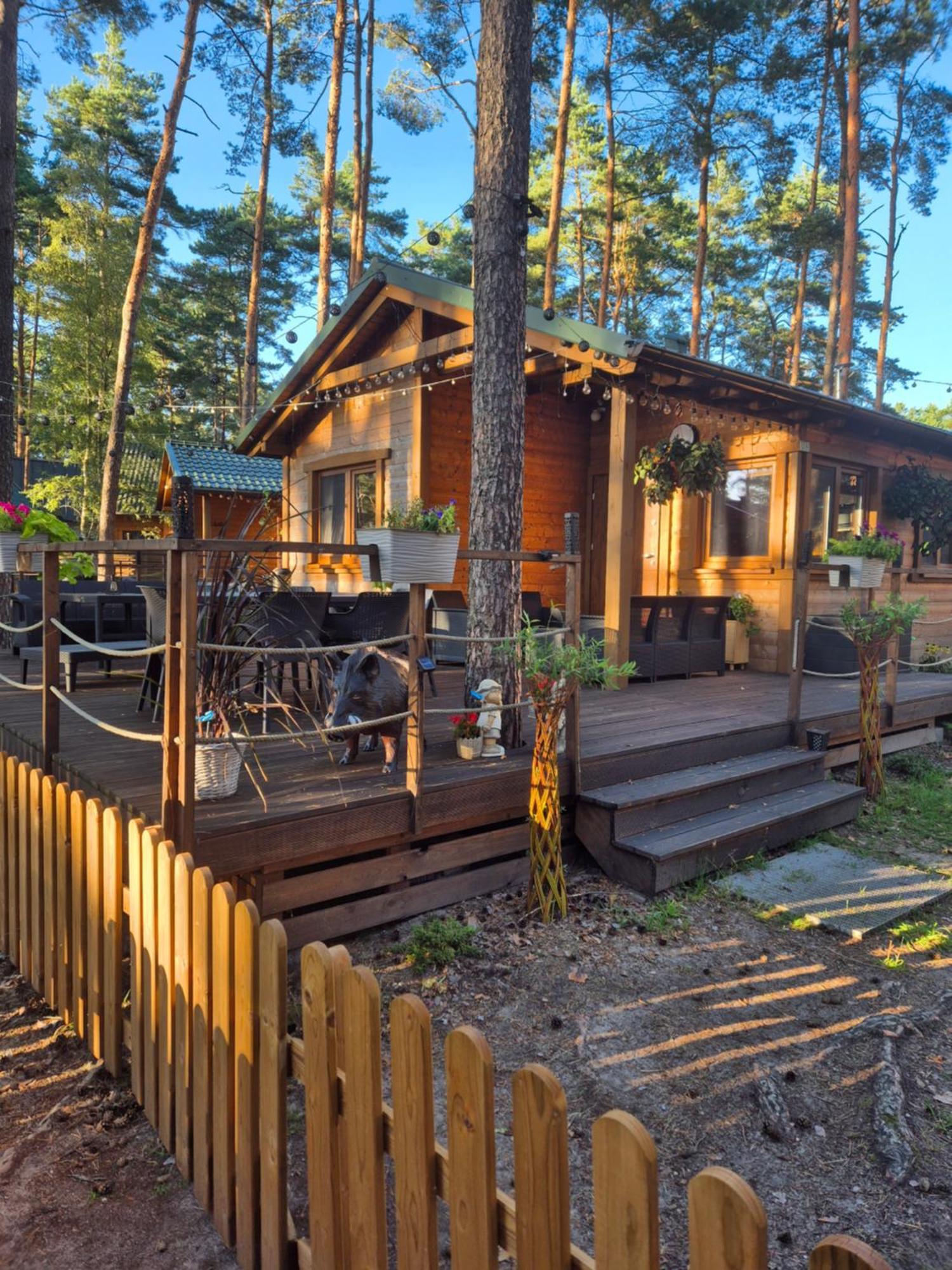 Dzik W Zagrodzie Hotel Borsk Buitenkant foto
