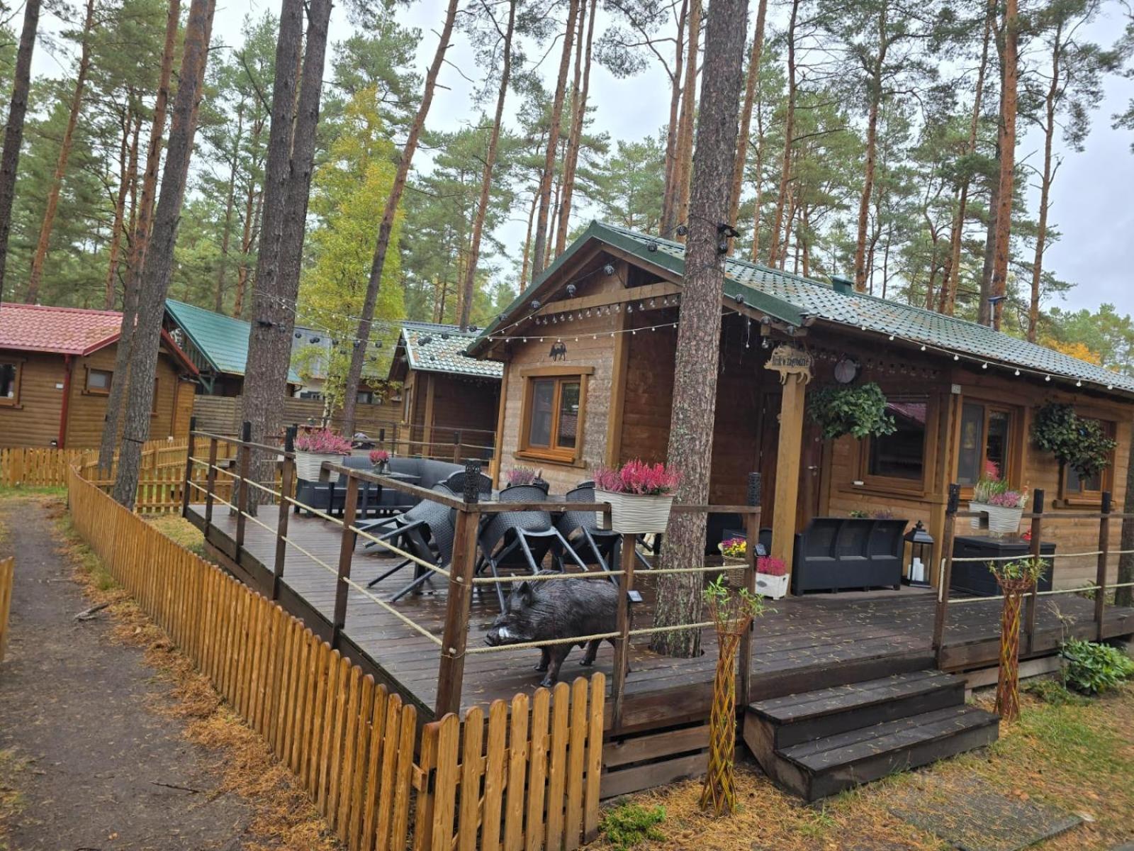 Dzik W Zagrodzie Hotel Borsk Buitenkant foto