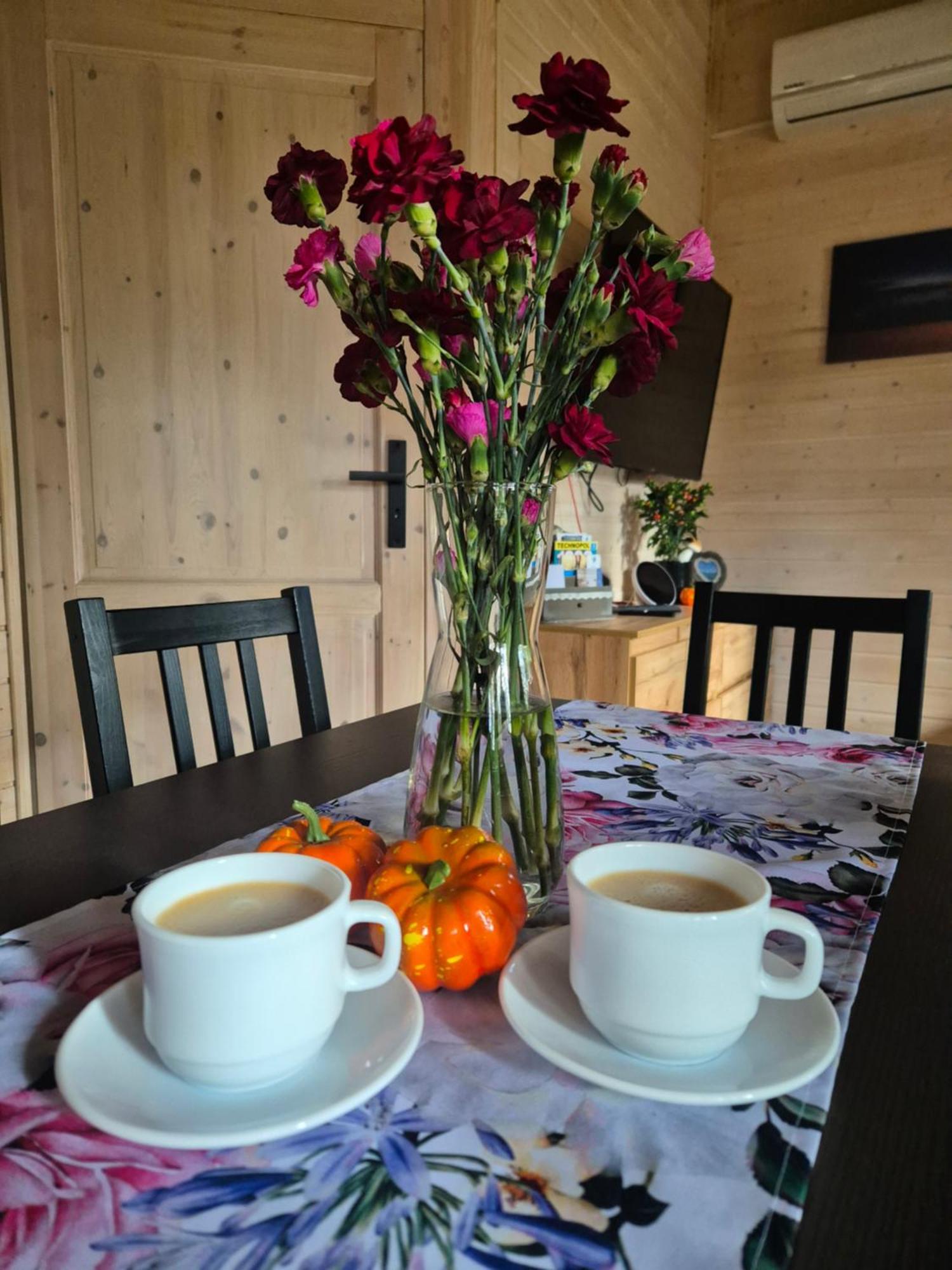 Dzik W Zagrodzie Hotel Borsk Buitenkant foto