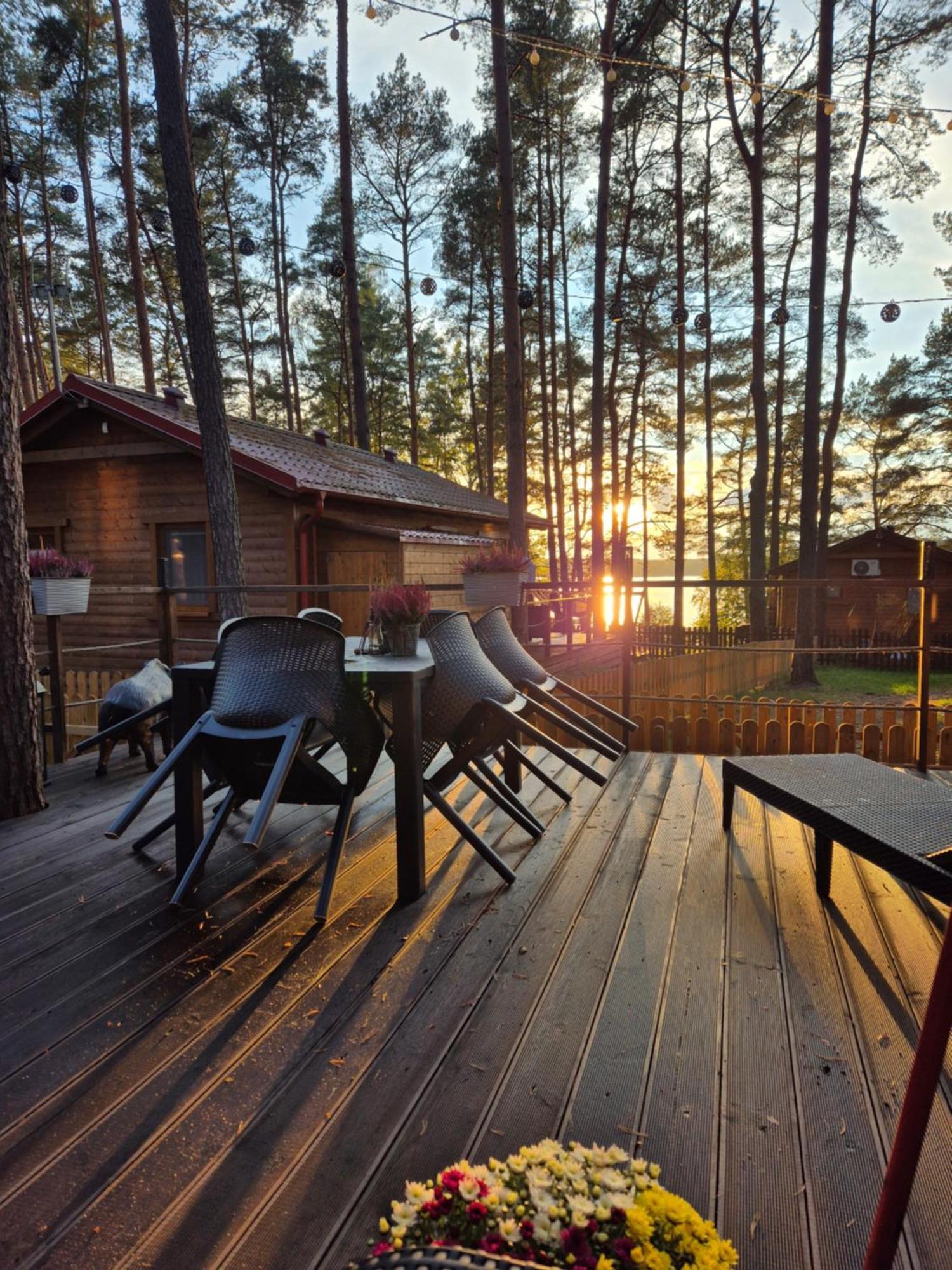 Dzik W Zagrodzie Hotel Borsk Buitenkant foto