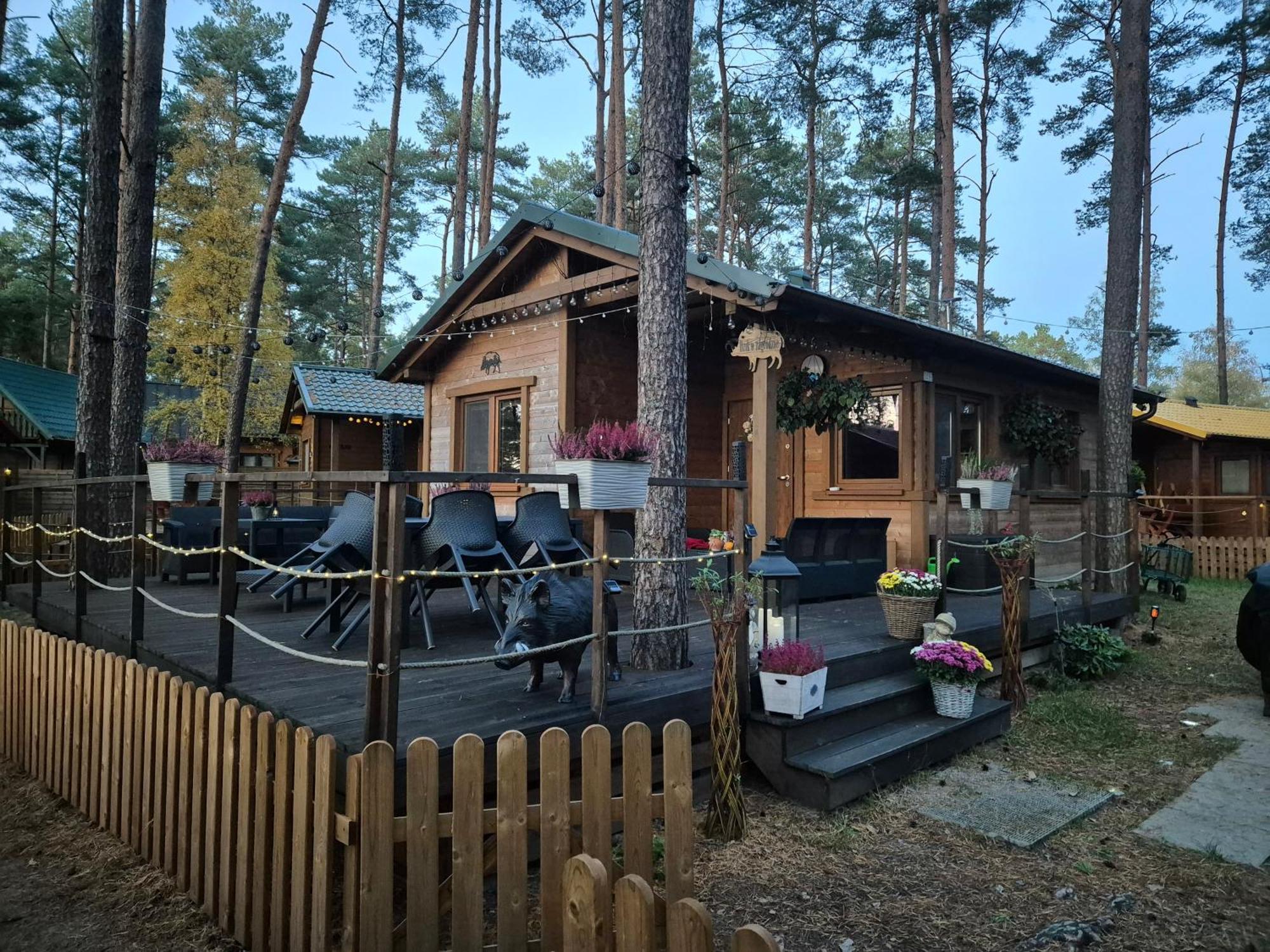 Dzik W Zagrodzie Hotel Borsk Buitenkant foto